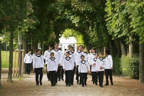 維也納童聲合唱團唱響天籟,帶來 施特勞斯家族的問候