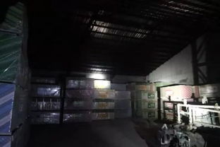 日查夜查、直擊現場 臨沂生態環保人守護銀河棉業綠色發展